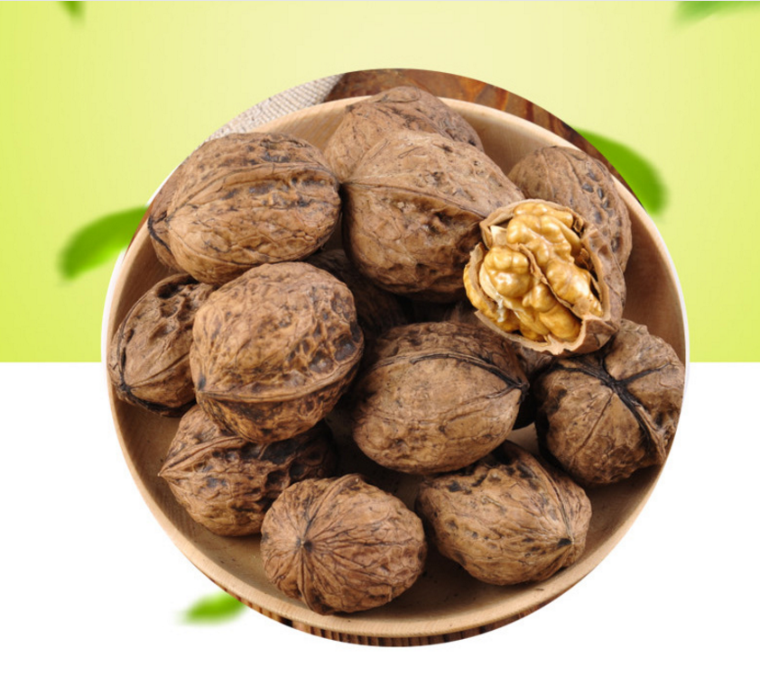 薄皮核桃圖片/薄皮核桃樣板圖 (3)