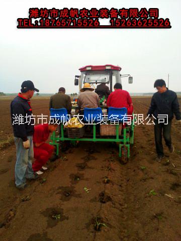 移栽機(jī)圖片/移栽機(jī)樣板圖 (4)