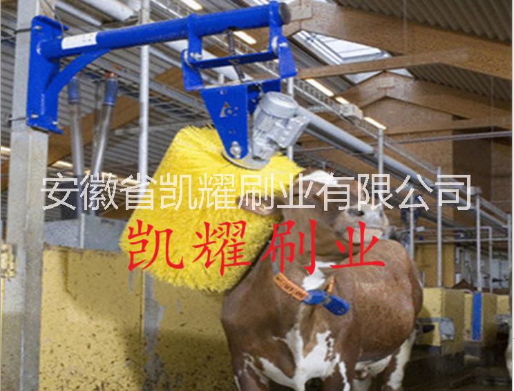 凱耀制刷廠供應(yīng)牛體刷.奶牛清洗毛刷輥.品質(zhì)保證，.可按需定制