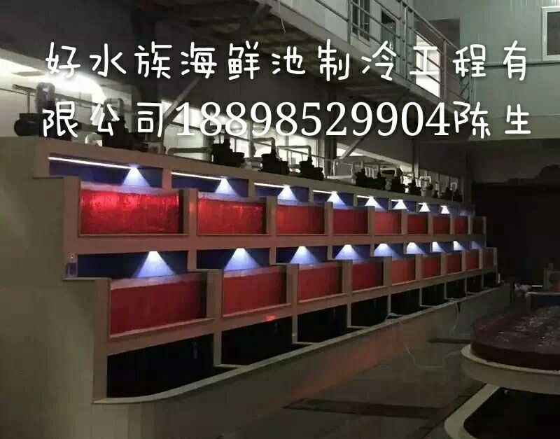 海鮮池定做圖片/海鮮池定做樣板圖 (2)