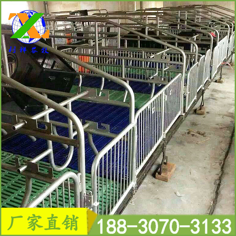 母豬產(chǎn)床圖片/母豬產(chǎn)床樣板圖 (4)