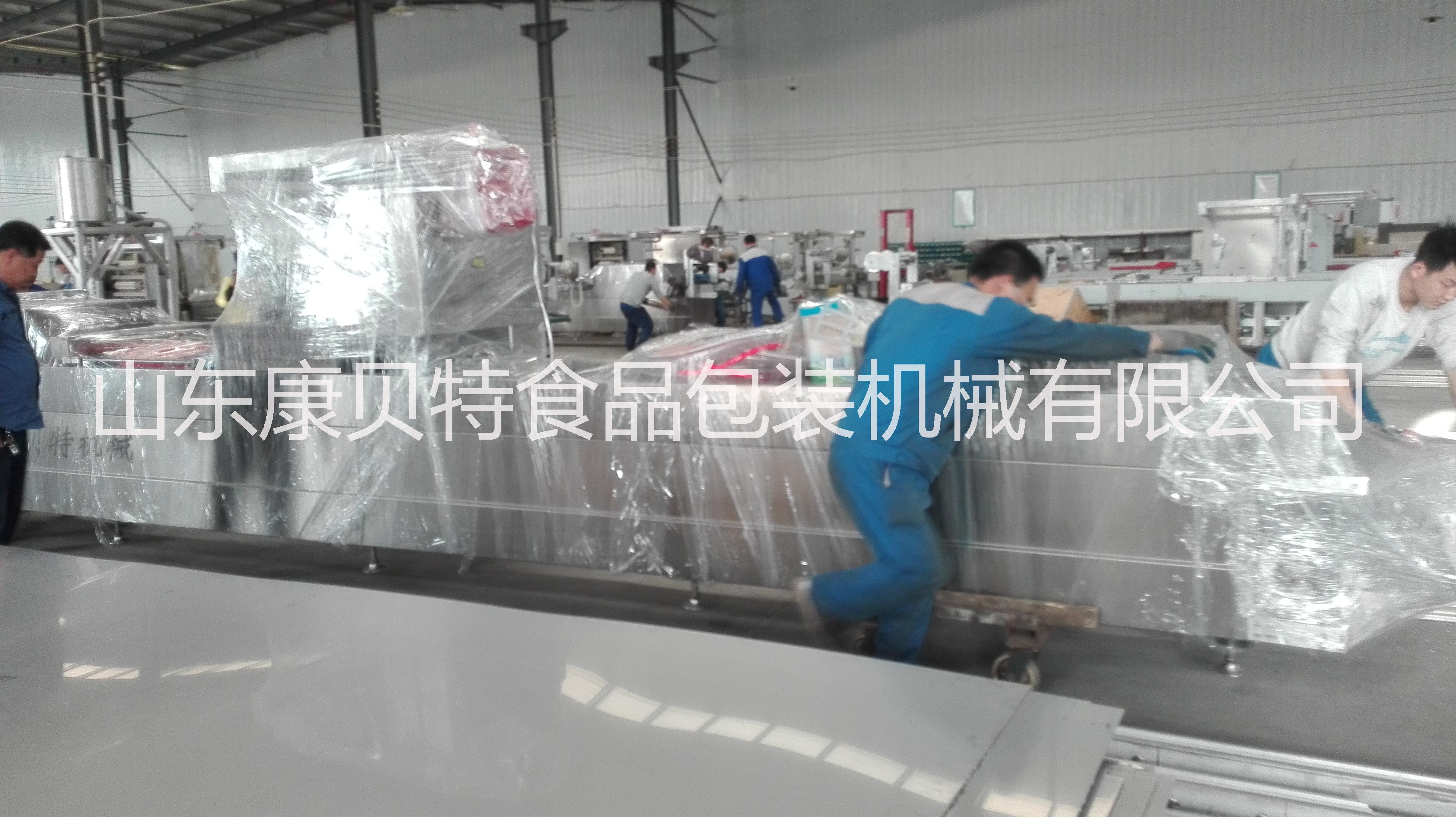 肉類全自動(dòng)真空包裝機(jī)圖片