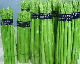 進(jìn)口蘆筍種子，格蘭德-蘆筍種子