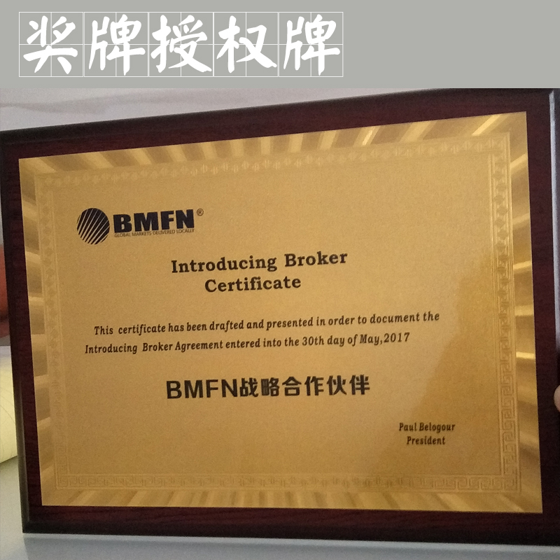 獎(jiǎng)牌授權(quán)牌圖片/獎(jiǎng)牌授權(quán)牌樣板圖 (2)