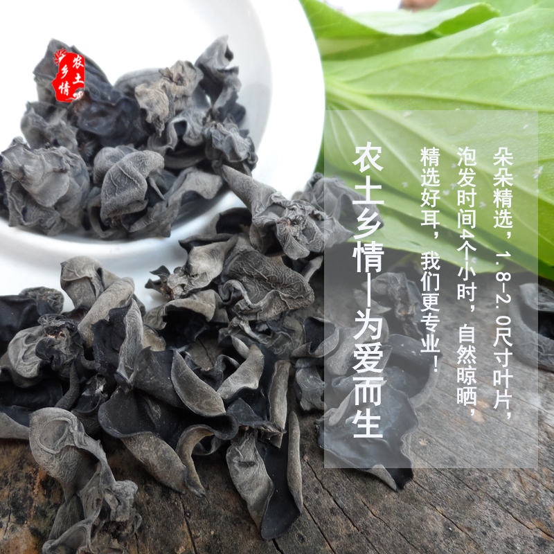 椴木木耳圖片/椴木木耳樣板圖 (4)
