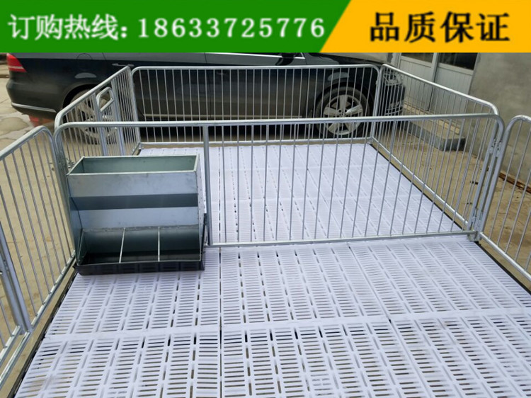 養(yǎng)豬設(shè)備小豬保育床 泊頭小豬床廠家 熱鍍鋅管焊接保育床價(jià)格
