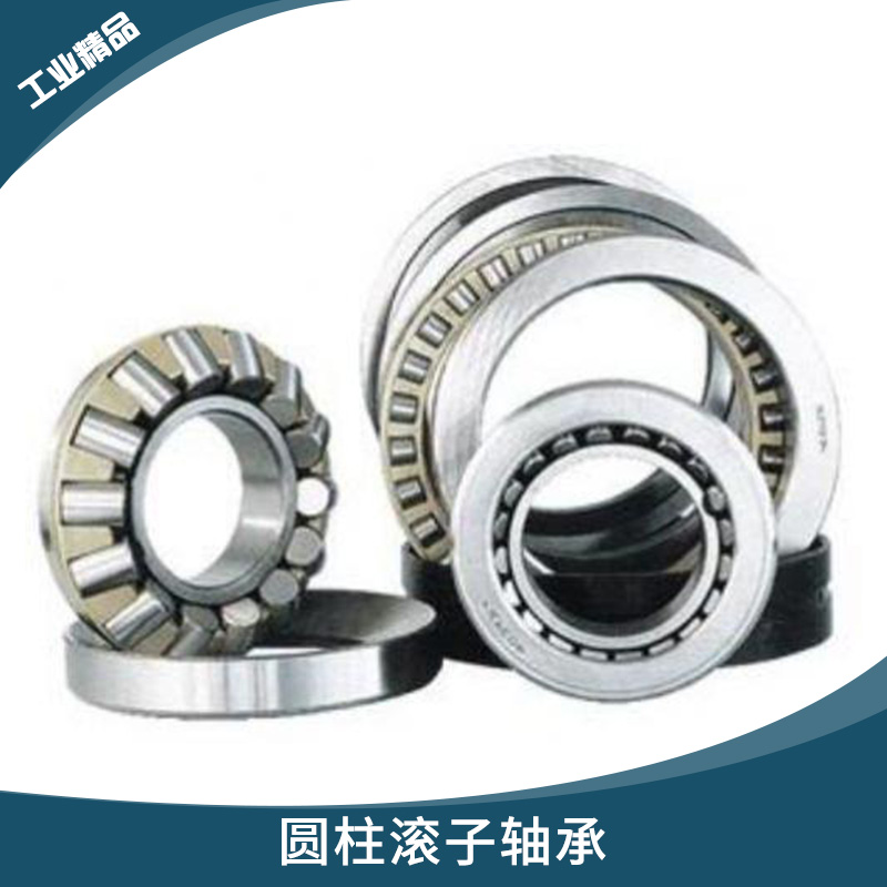 德國(guó)TDN系列 圓柱滾子軸承 電動(dòng)機(jī)/內(nèi)燃機(jī)高徑向負(fù)荷線接觸軸承