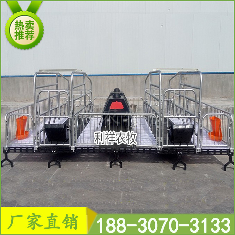 母豬產(chǎn)床圖片/母豬產(chǎn)床樣板圖 (3)