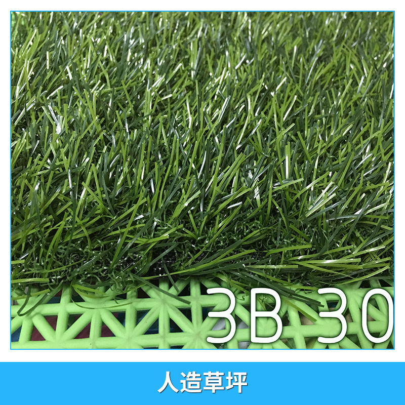 塑膠跑道圖片/塑膠跑道樣板圖 (2)