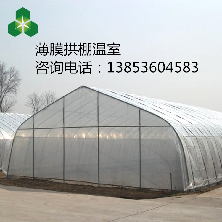 拱棚溫室 單棟拱棚溫室 薄膜拱棚溫室 拱棚溫室大棚 拱棚效果怎么