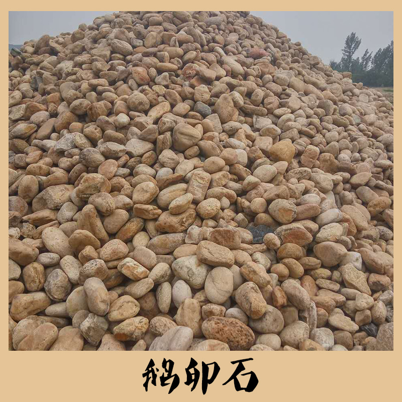 鵝卵石圖片/鵝卵石樣板圖 (3)