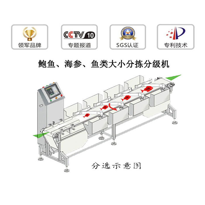 重量檢測機圖片/重量檢測機樣板圖 (2)