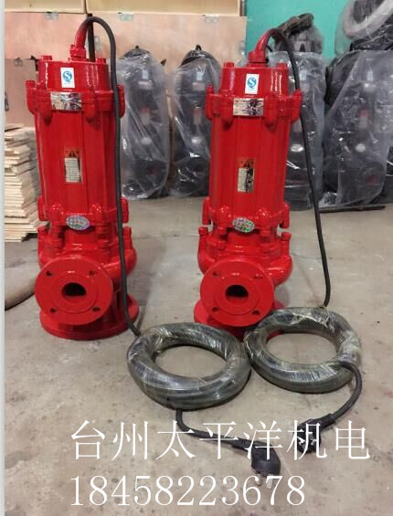 潛水式排污泵圖片/潛水式排污泵樣板圖 (2)