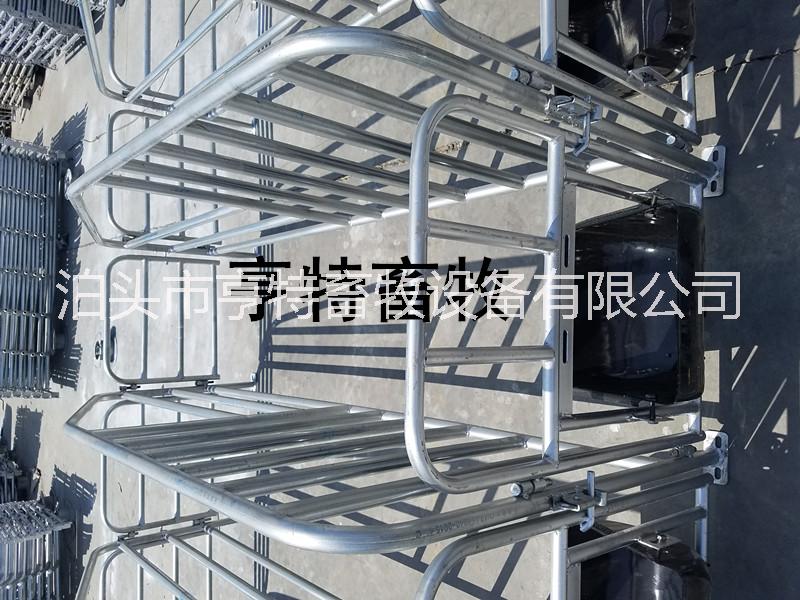 湖北十堰新款母豬定位欄安裝設(shè)計