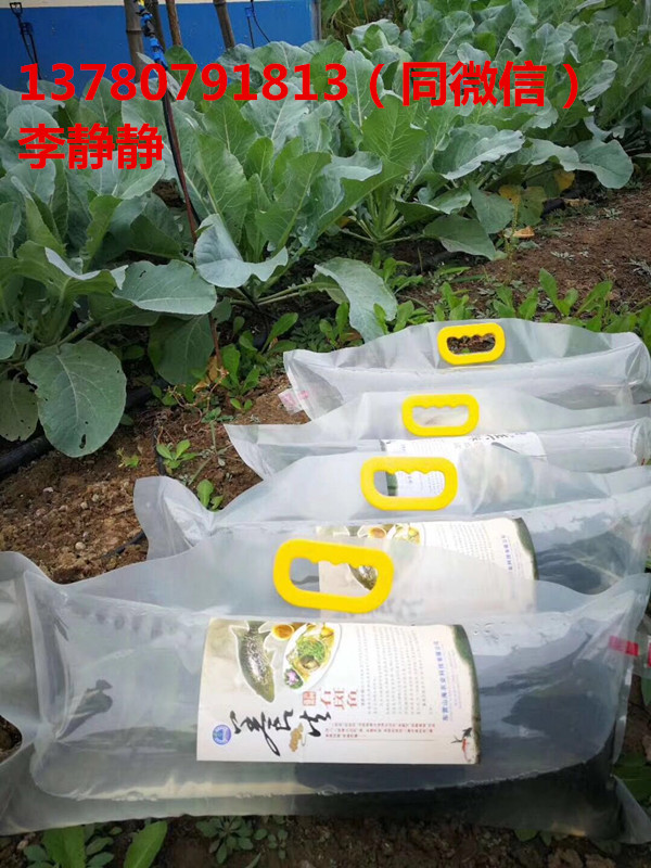 化養(yǎng)殖圖片/化養(yǎng)殖樣板圖 (4)