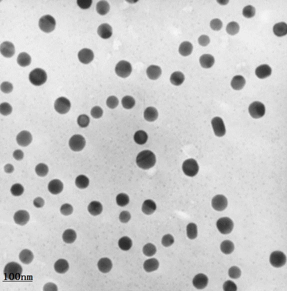 供應(yīng)納米氮化鋁-水分散液
