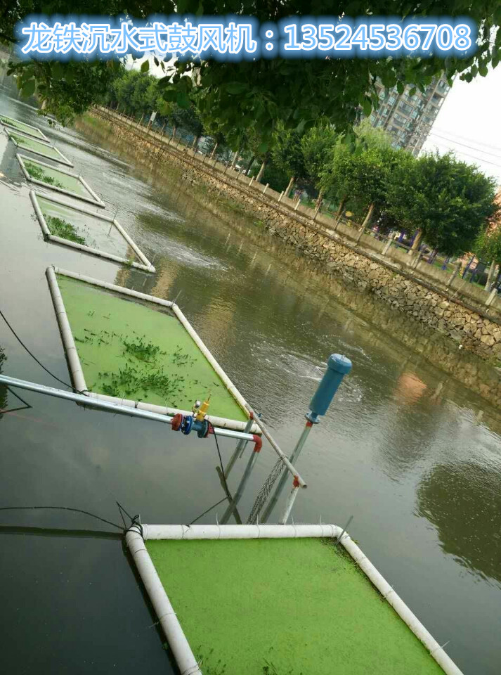*污水治理 沉水式鼓風(fēng)機(jī) 品質(zhì)保障 售后無憂