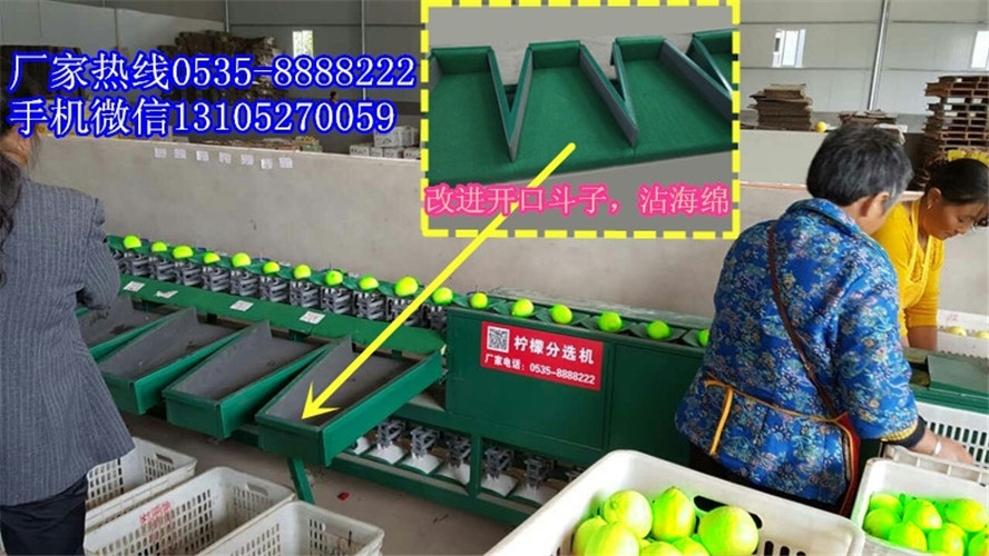 青棗分選機(jī)廠家聯(lián)系方式圖片/青棗分選機(jī)廠家聯(lián)系方式樣板圖 (2)