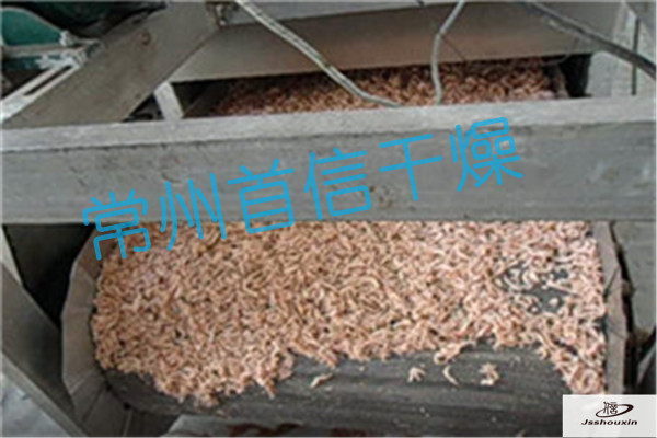 常州首信干燥海產(chǎn)品蝦米烘干設(shè)備圖片