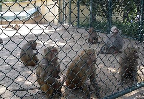 篩網(wǎng)廠圖片/篩網(wǎng)廠樣板圖 (3)