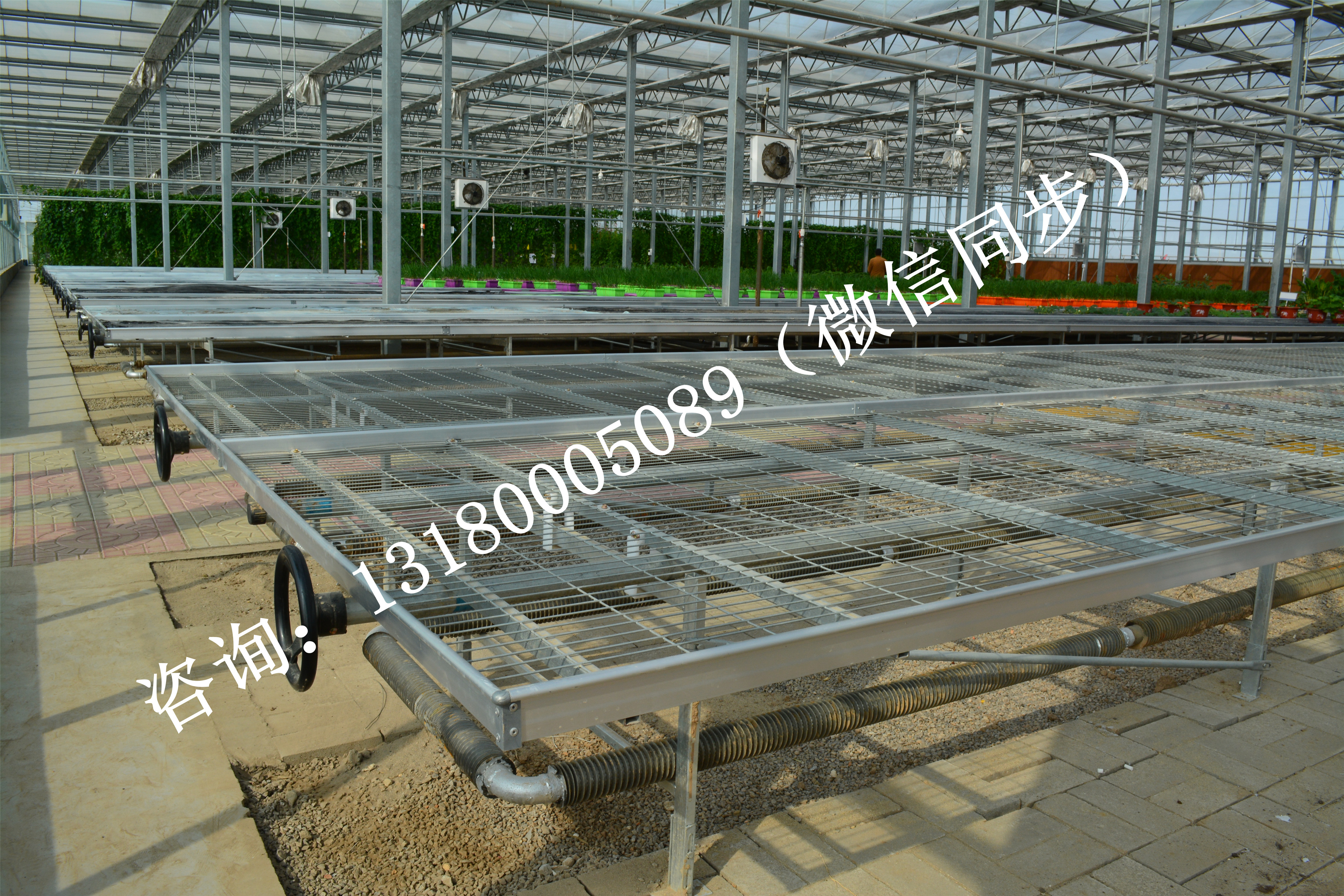 供應(yīng)苗床 育苗床圖片/供應(yīng)苗床 育苗床樣板圖 (2)