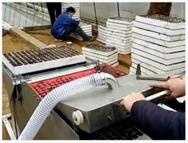 播種機(jī)圖片/播種機(jī)樣板圖 (2)