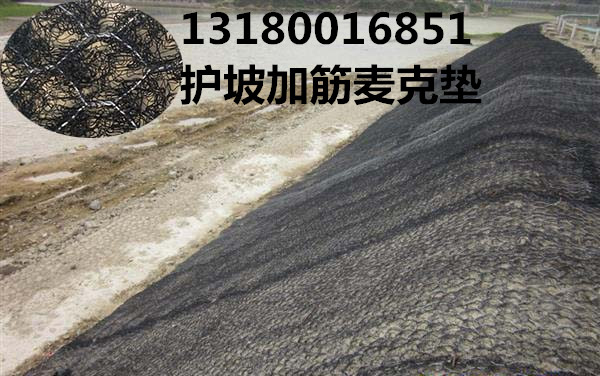 河道護坡護岸雷諾護墊圖片