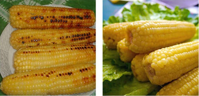 烤紅薯機(jī)圖片/烤紅薯機(jī)樣板圖 (3)