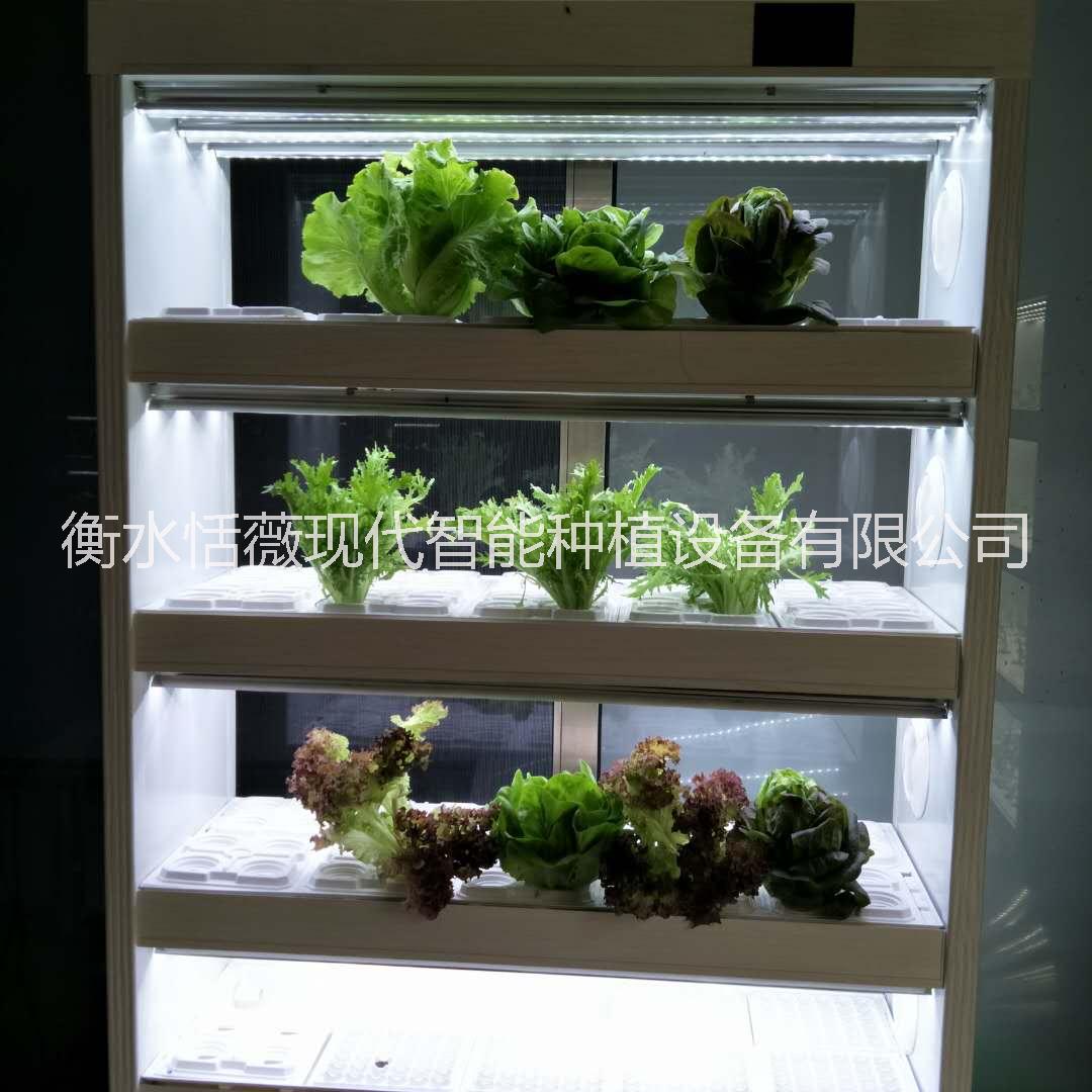 恬薇現(xiàn)代智能植物工廠新時代全智能圖片/恬薇現(xiàn)代智能植物工廠新時代全智能樣板圖 (2)
