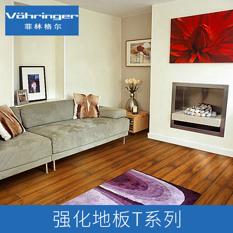 菲林格爾強化地板T系列產(chǎn)品圖片/菲林格爾強化地板T系列產(chǎn)品樣板圖 (2)