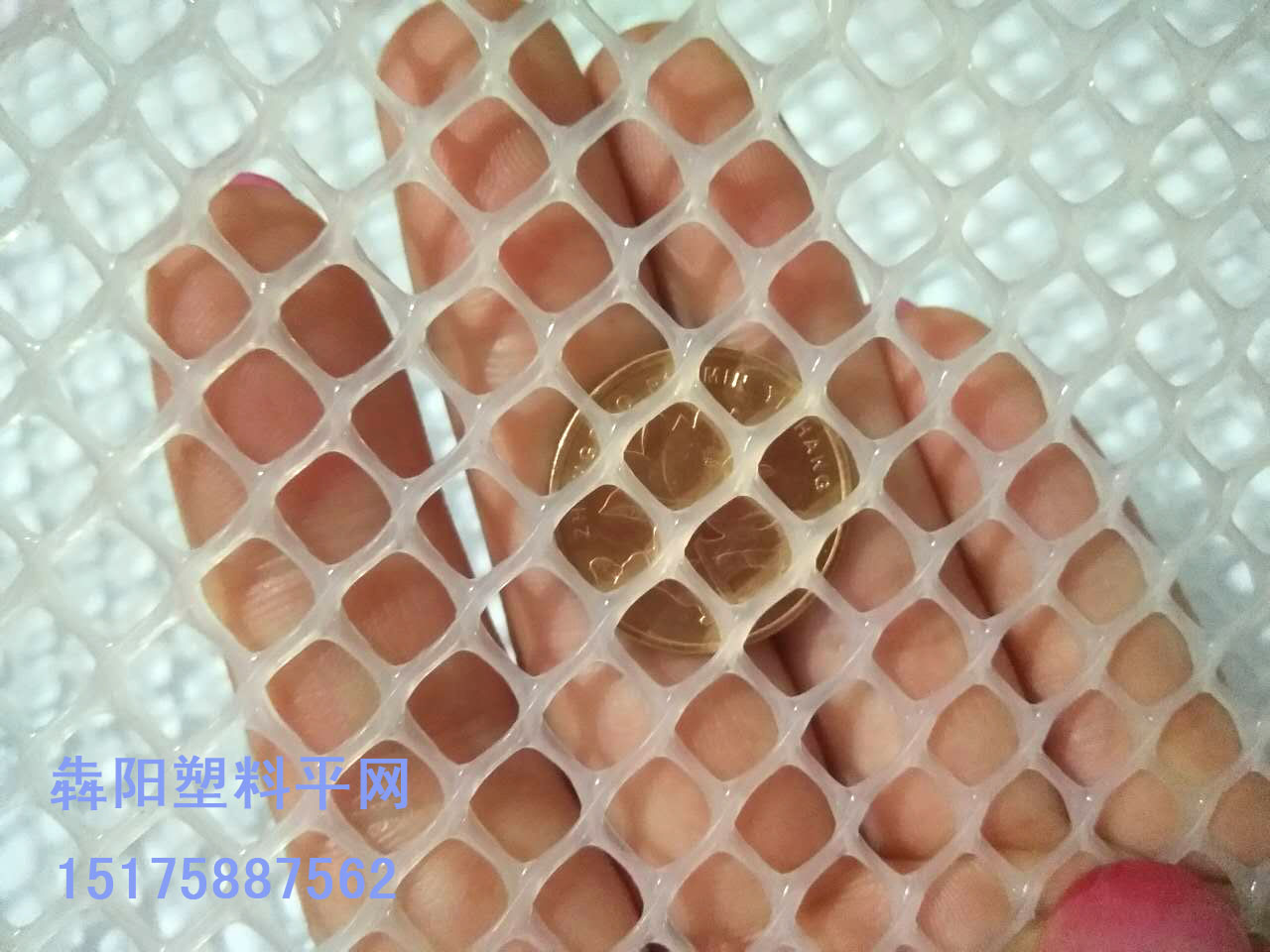 塑料網(wǎng)圖片/塑料網(wǎng)樣板圖 (1)