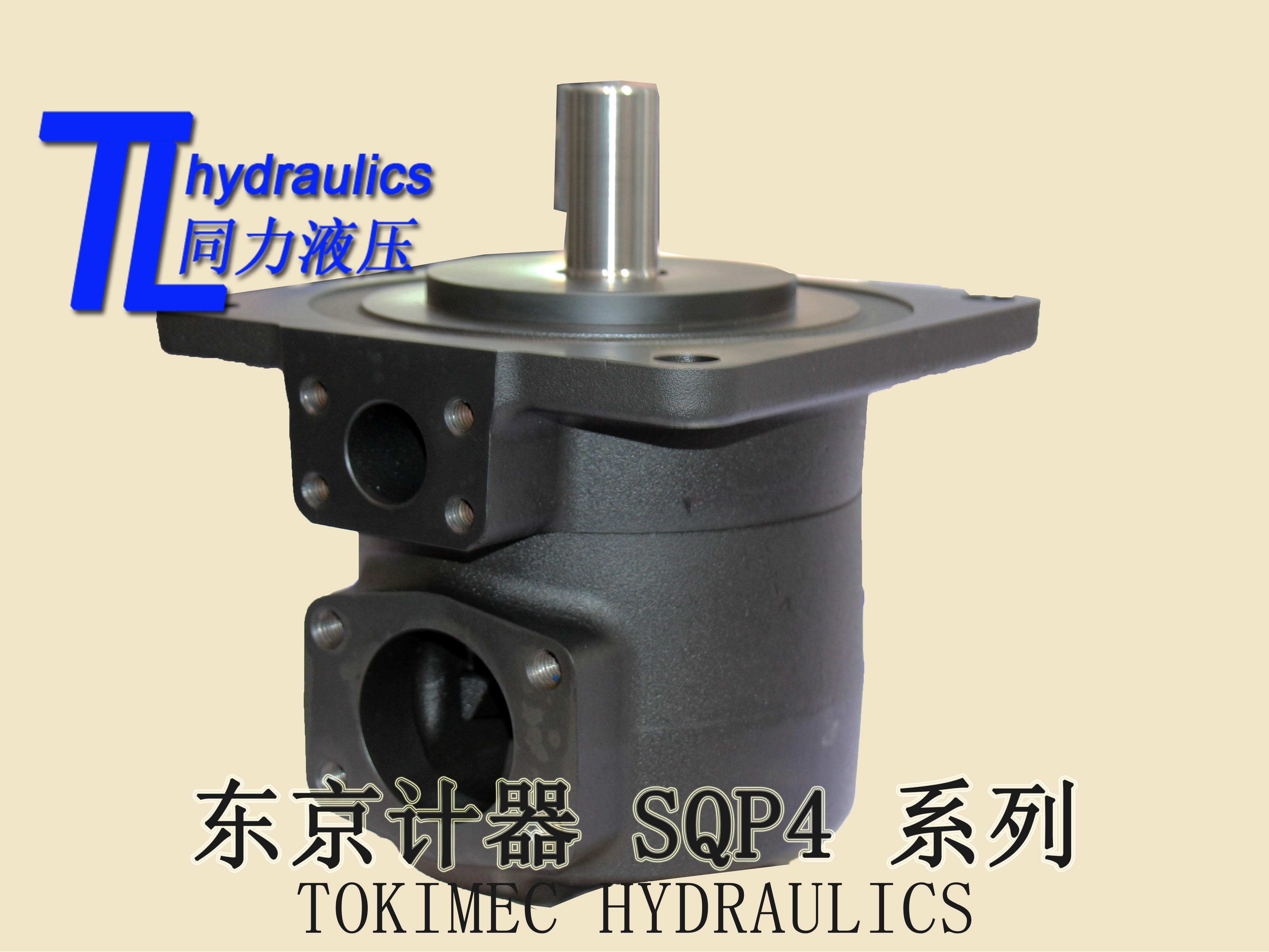 葉片泵圖片/葉片泵樣板圖 (4)