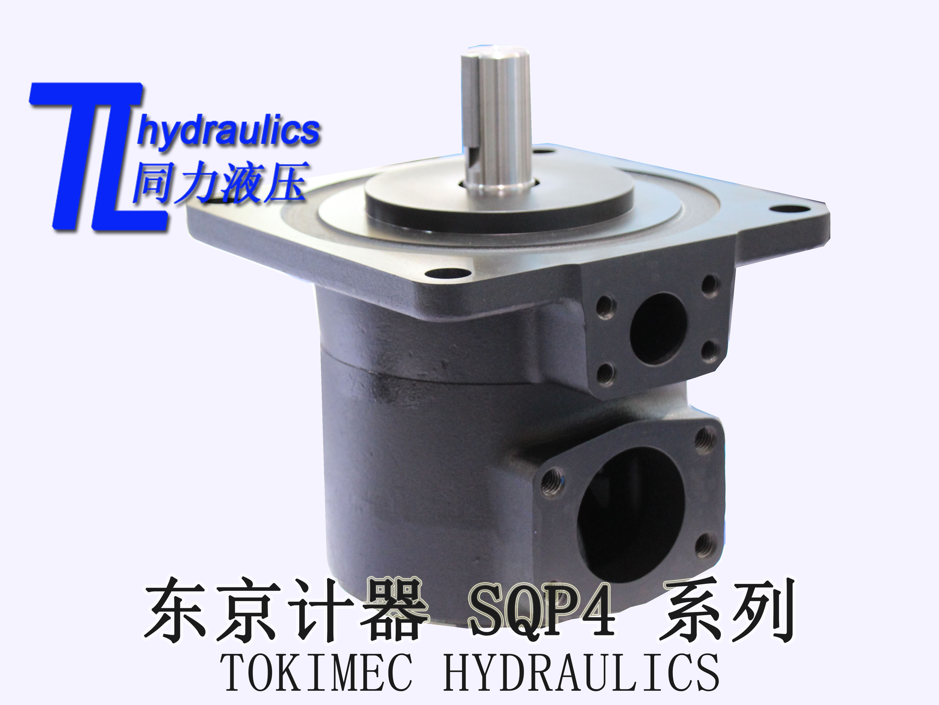 葉片泵圖片/葉片泵樣板圖 (2)