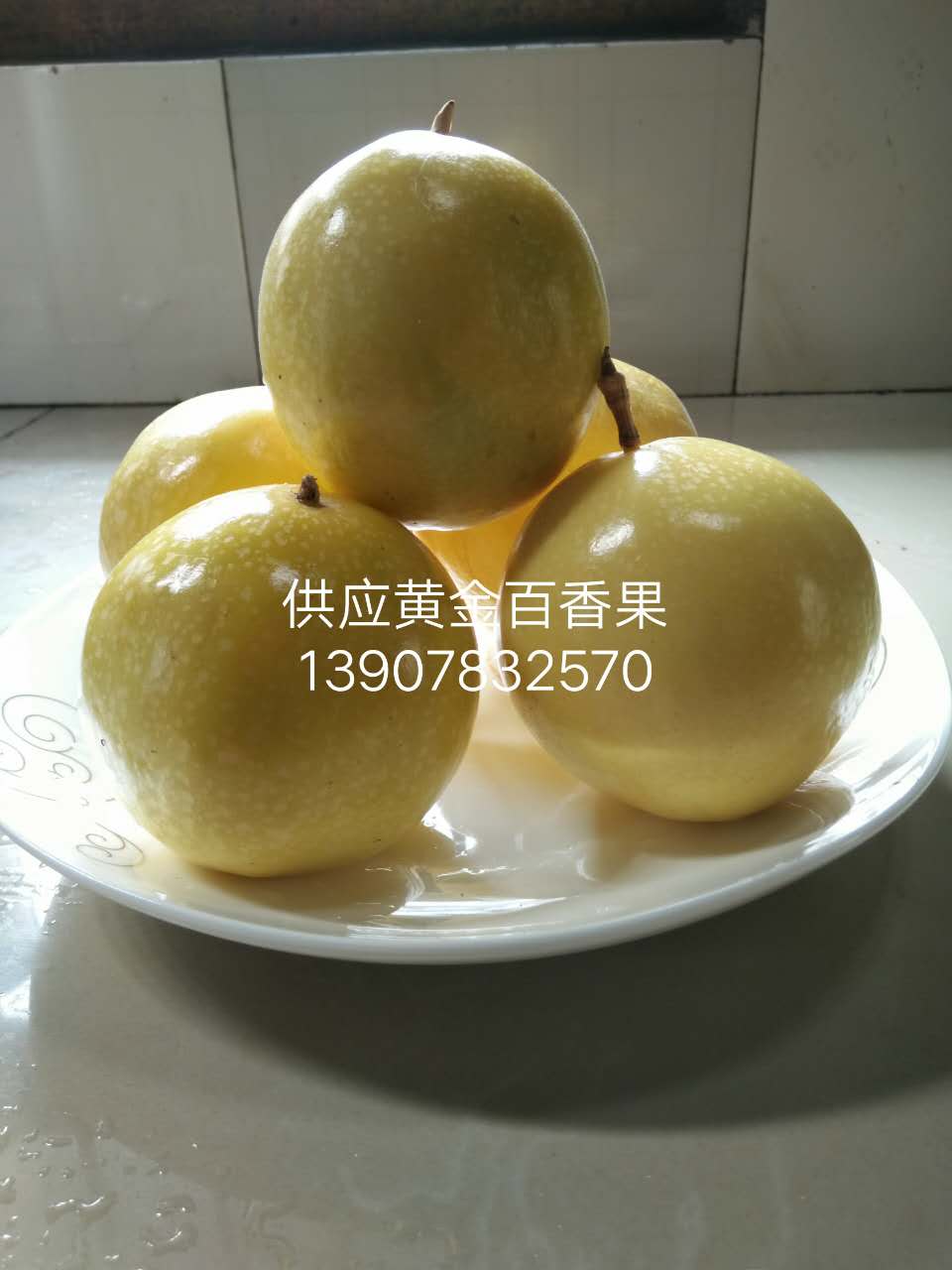 廣西百香果圖片/廣西百香果樣板圖 (1)