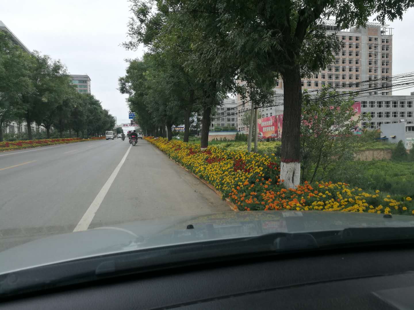 西安專業(yè)綠植擺租公司圖片/西安專業(yè)綠植擺租公司樣板圖 (3)