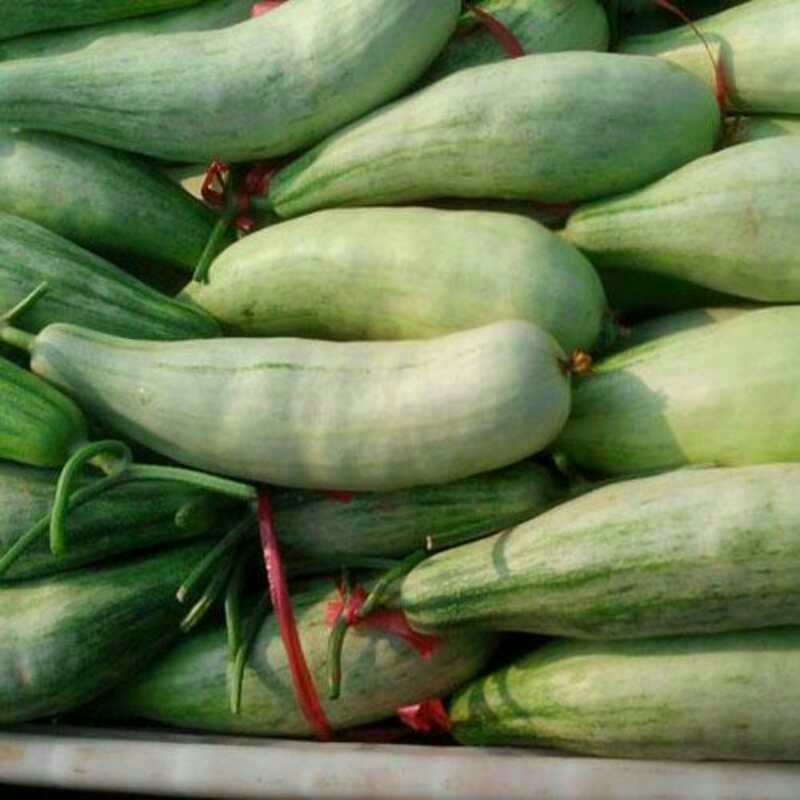 人參果圖片/人參果樣板圖 (4)