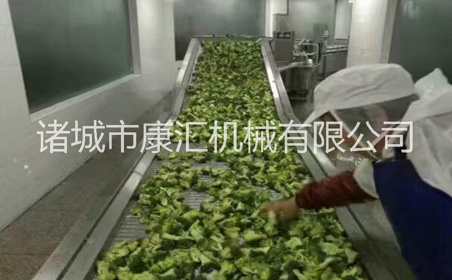 西蘭花殺青機(jī),蕨菜殺青機(jī)圖片/西蘭花殺青機(jī),蕨菜殺青機(jī)樣板圖 (1)