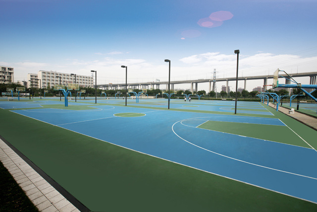 籃球場地圖片/籃球場地樣板圖 (2)