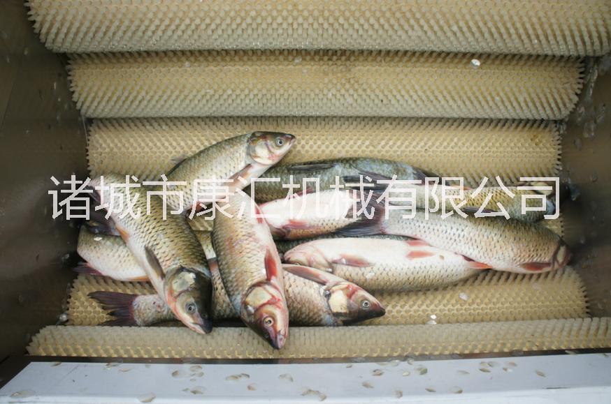 豬蹄圖片/豬蹄樣板圖 (4)