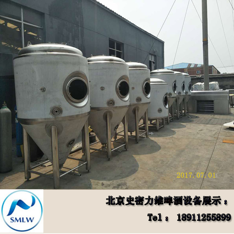 山東酒吧自釀啤酒設(shè)備多少錢