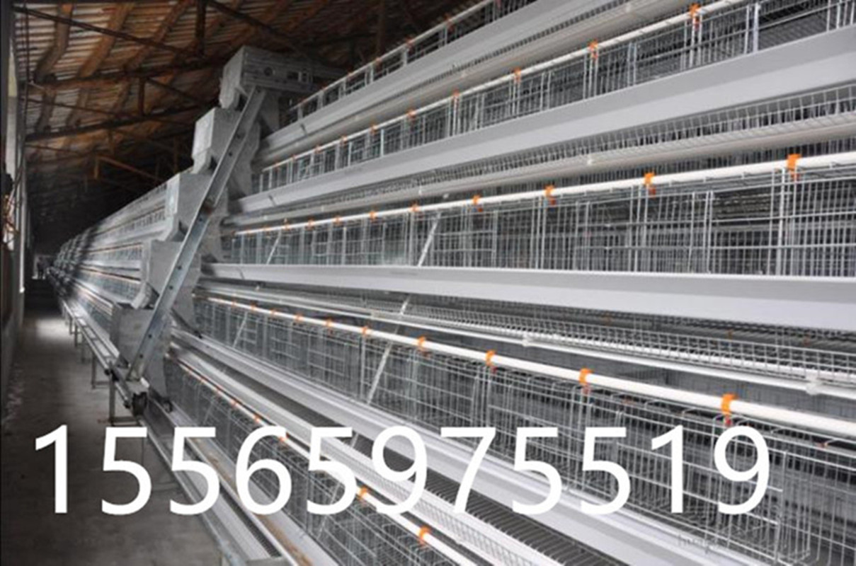 廠家直銷經(jīng)濟(jì)實(shí)惠蛋雞籠環(huán)保優(yōu)質(zhì)鋼圖片