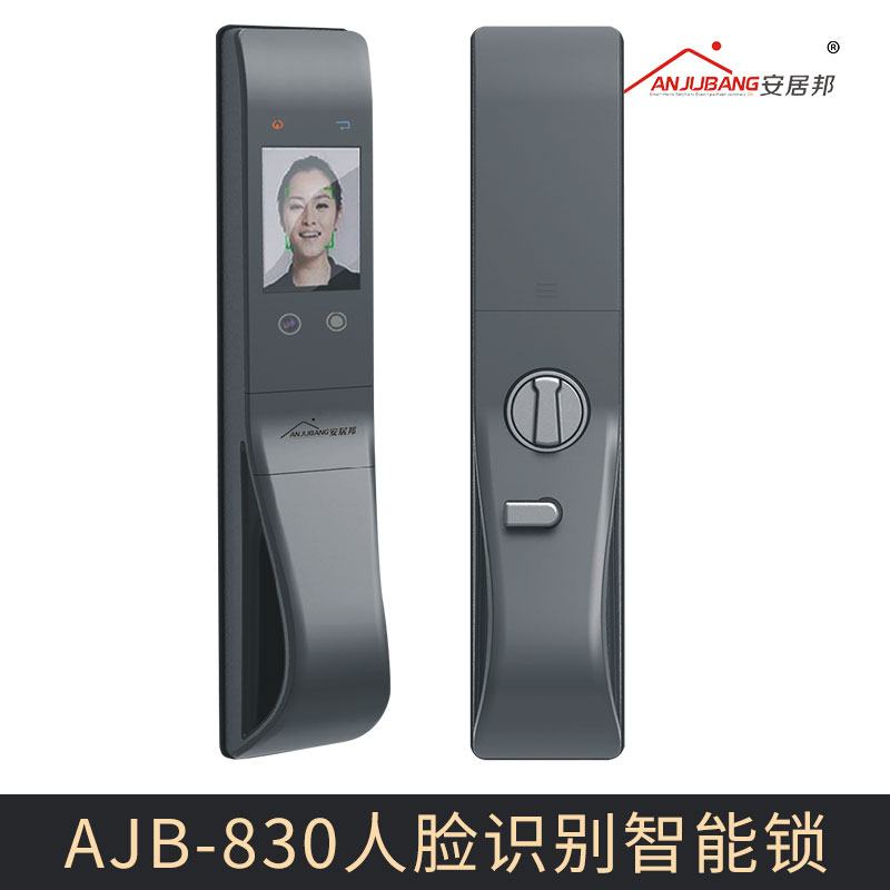 厂家直销 AJB-830人脸识别智能锁 人脸识别门锁智能锁 面部识别防盗锁