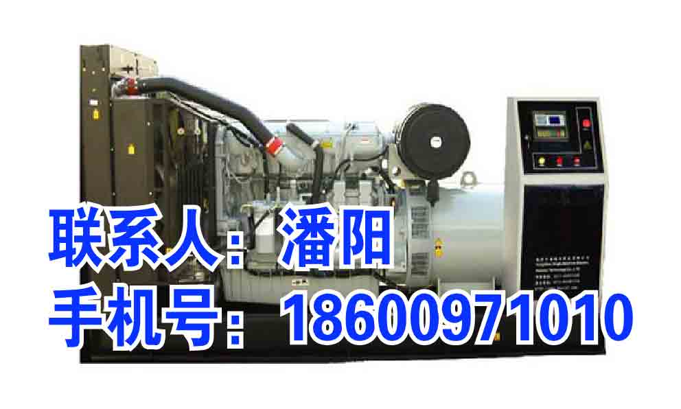 大興區(qū)發(fā)電機出租 發(fā)電機租賃