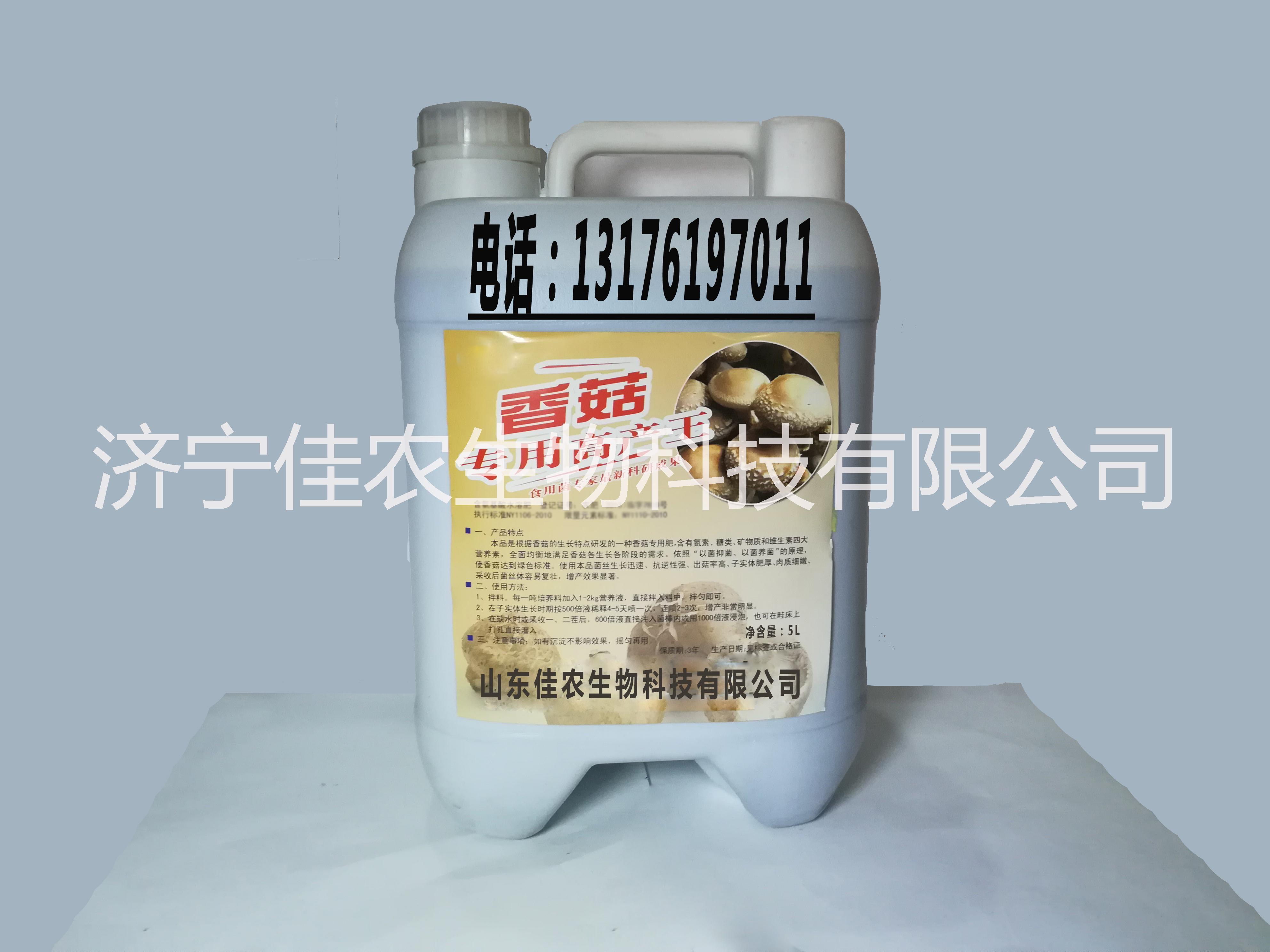 供應湖北香菇專用高產王食用菌大棚圖片