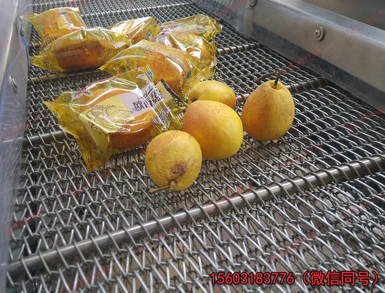 金屬網(wǎng)帶圖片/金屬網(wǎng)帶樣板圖 (2)