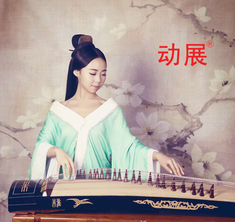 古琴古箏圖片/古琴古箏樣板圖 (2)