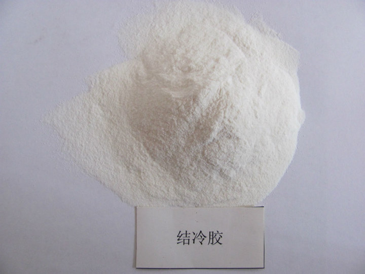 結(jié)冷膠圖片/結(jié)冷膠樣板圖 (1)