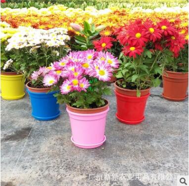 花盆圖片/花盆樣板圖 (4)