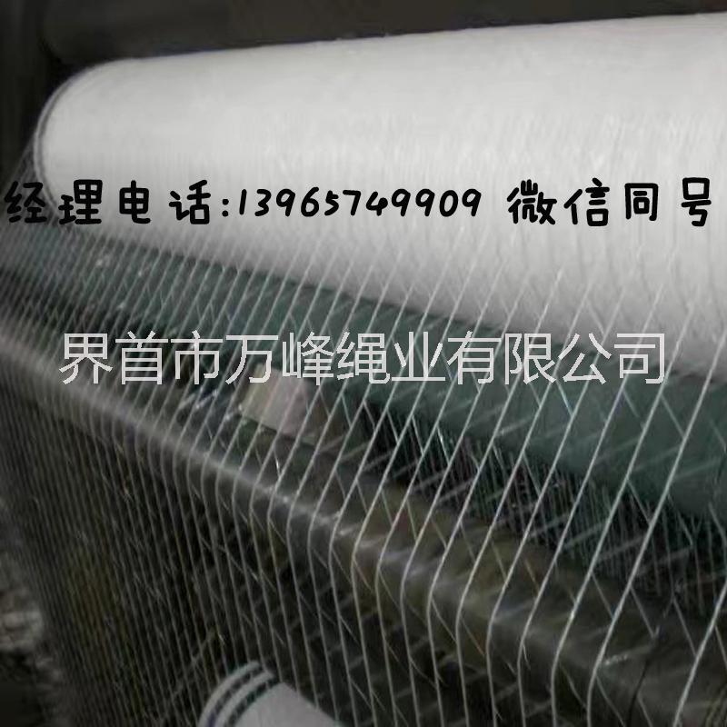 打捆網(wǎng)猛王園打捆機(jī)捆草網(wǎng)圖片/打捆網(wǎng)猛王園打捆機(jī)捆草網(wǎng)樣板圖 (3)