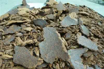 黃餅青餅圖片/黃餅青餅樣板圖 (2)